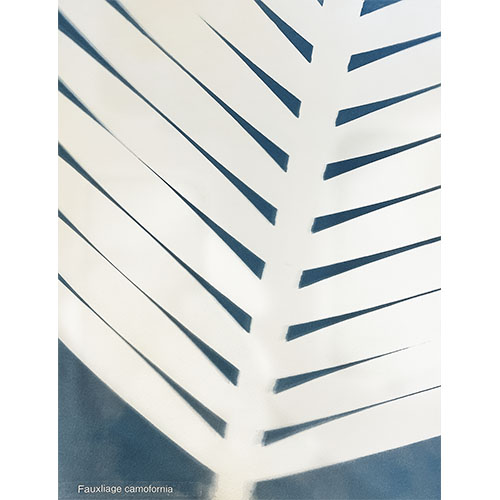 Species: Fauxliage Camofornia (cyanotype leaf photogram) (2024)