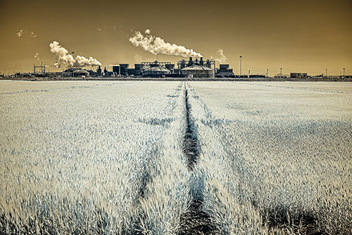 Power Grab, Calipatria