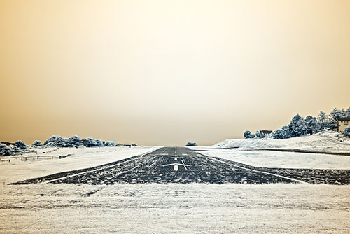 One Track, Shelter Cove